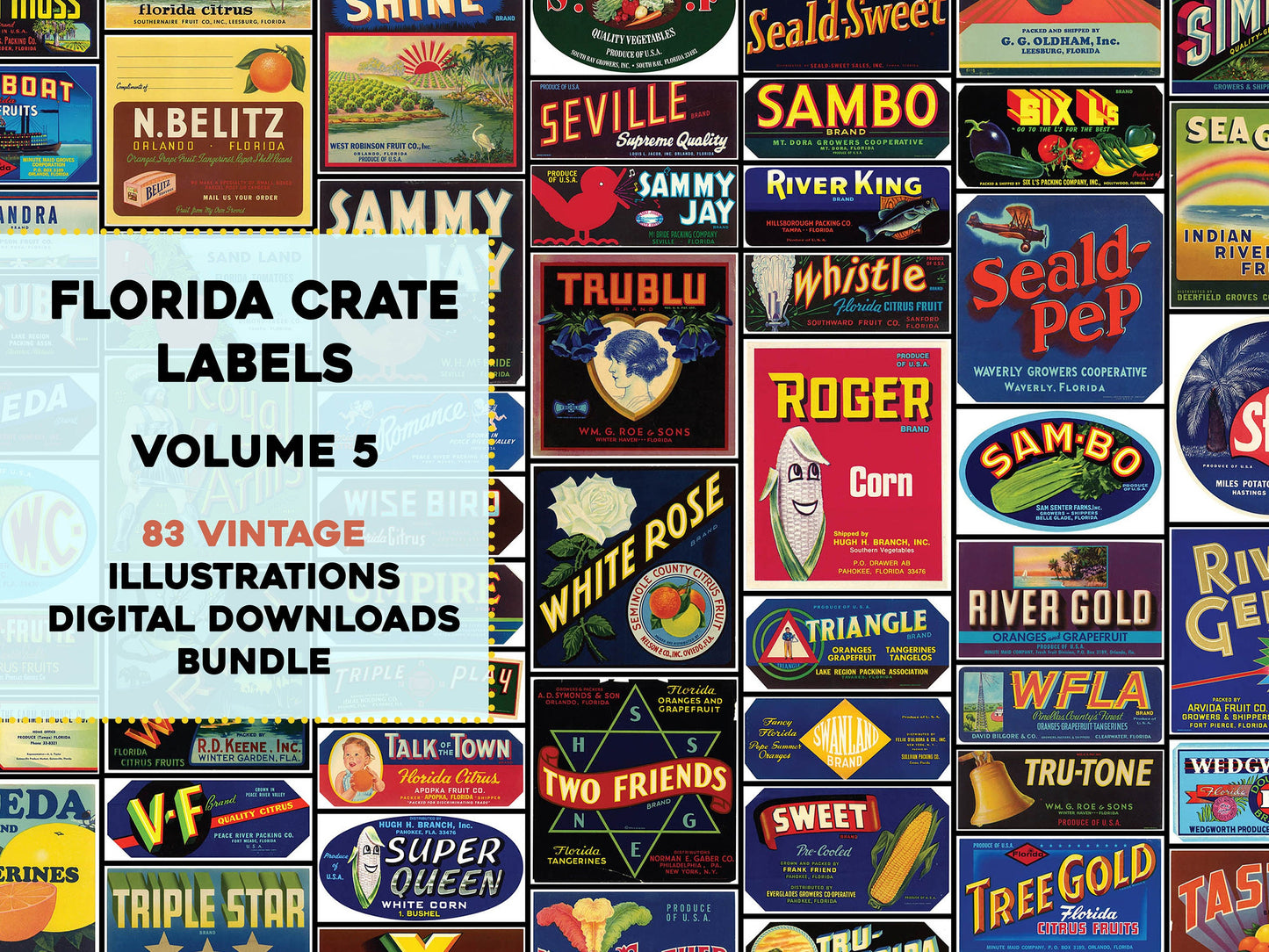 Florida Citrus Vegetable Produce Farm Crate Labels Set 5 [83 Images]