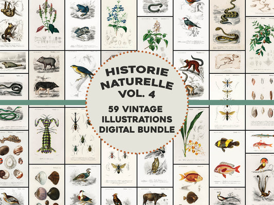 Histoire Naturelle Set 4 [59 Images]