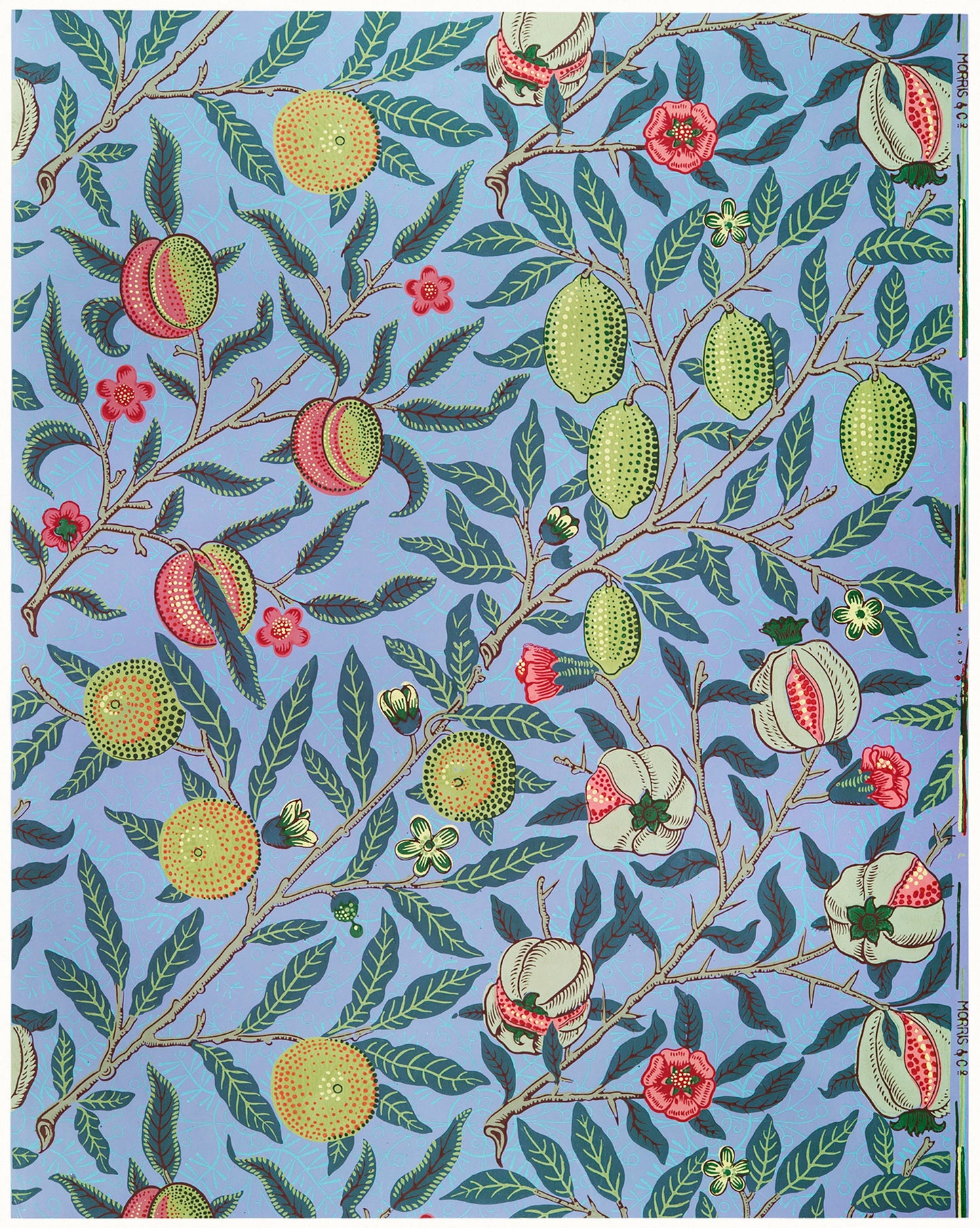 William Morris Design Pattern Set 1 [22 Images]