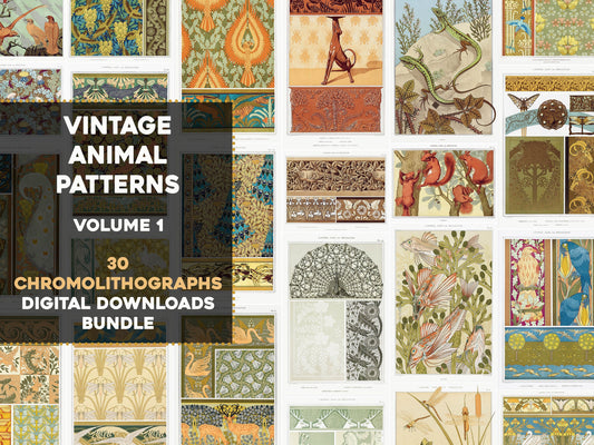 The Animal in Decoration Maurice Pillard Verneuil Set 1 [30 Images]