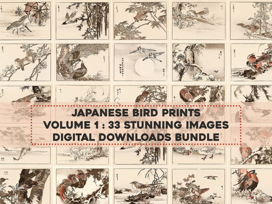 Kono Bairei Japanese Bird Woodblock Prints Set 1 [33 Images]