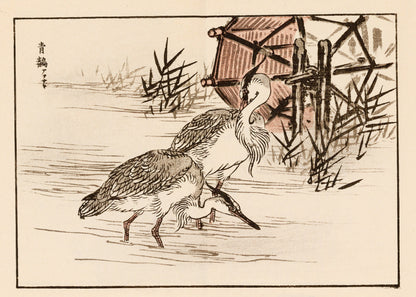 Kono Bairei Japanese Bird Woodblock Prints Set 1 [33 Images]