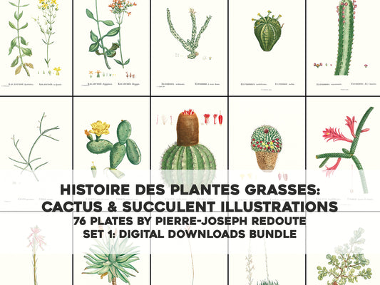 Pierre Joseph Redoute History of Succulents Set 1 [76 Images]