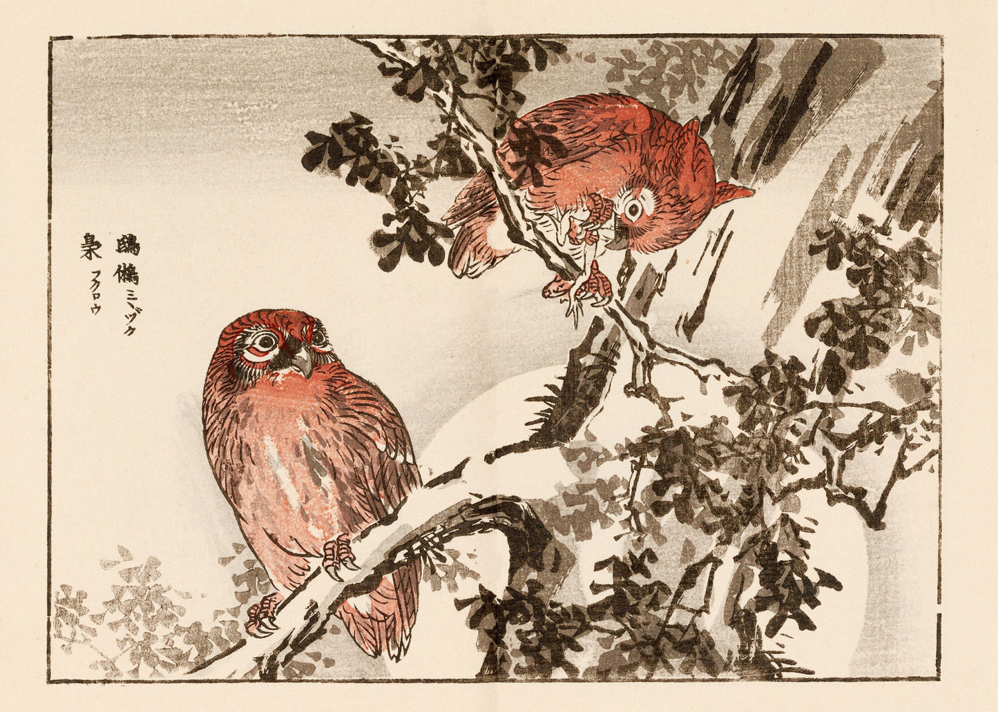 Kono Bairei Japanese Bird Woodblock Prints Set 1 [33 Images]