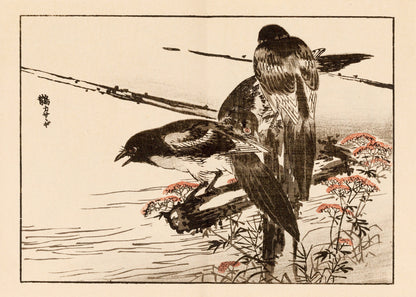 Kono Bairei Japanese Bird Woodblock Prints Set 1 [33 Images]
