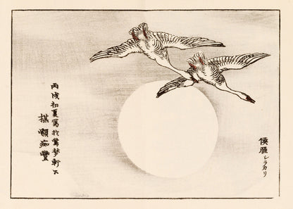 Kono Bairei Japanese Bird Woodblock Prints Set 1 [33 Images]