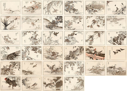 Kono Bairei Japanese Bird Woodblock Prints Set 2 [34 Images]