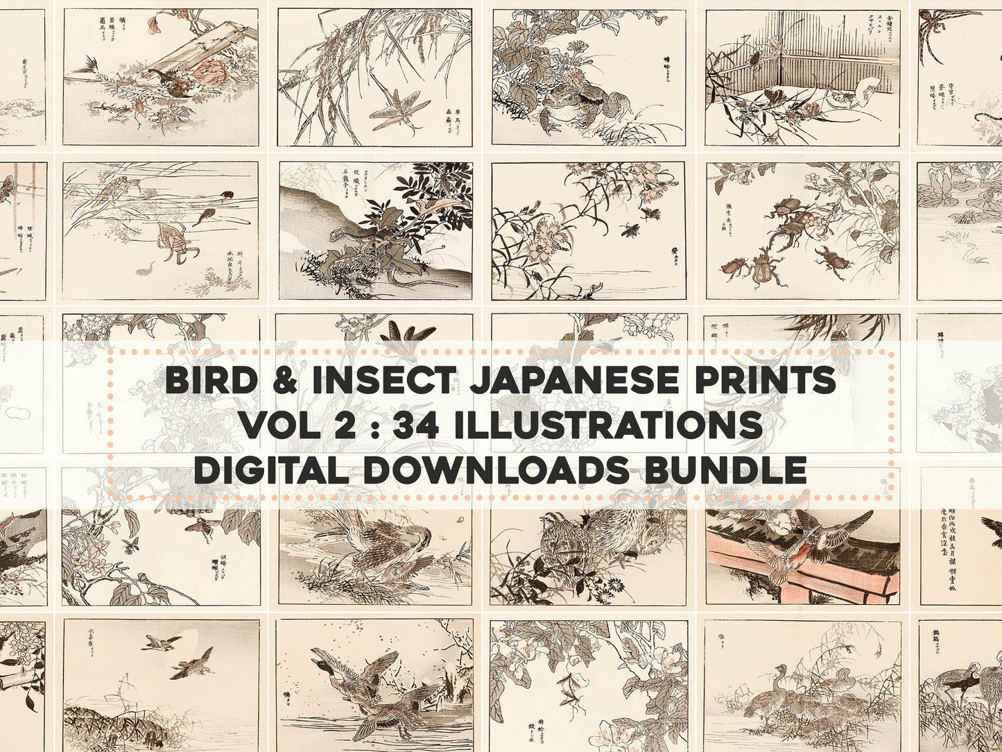 Kono Bairei Japanese Bird Woodblock Prints Set 2 [34 Images]