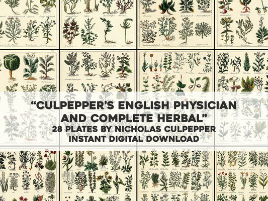 Culpeper's Complete Herbal [28 Images]