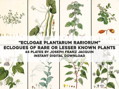 Eclogues of Rare Plants [64 Images]