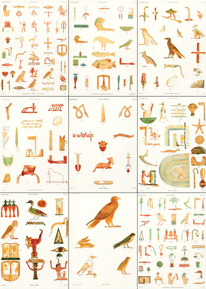 A Collection of Hieroglyphs [9 Images]