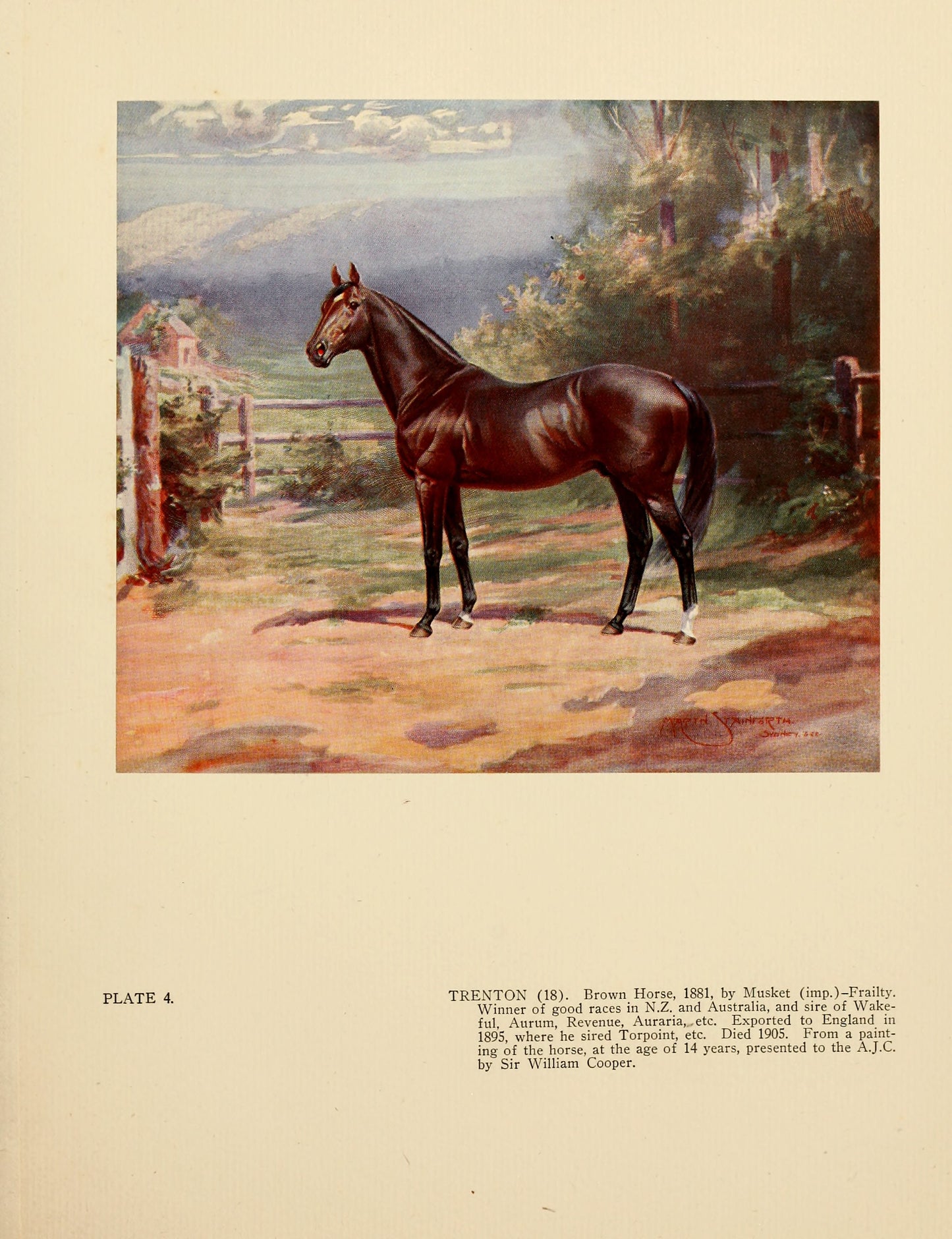 Racehorses in Australia [60 Images]