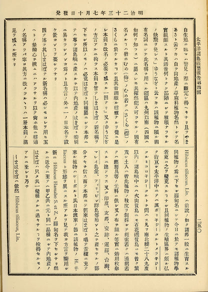 Japanese Vintage Vertical Print Type Pages Set 2 [100 Images]