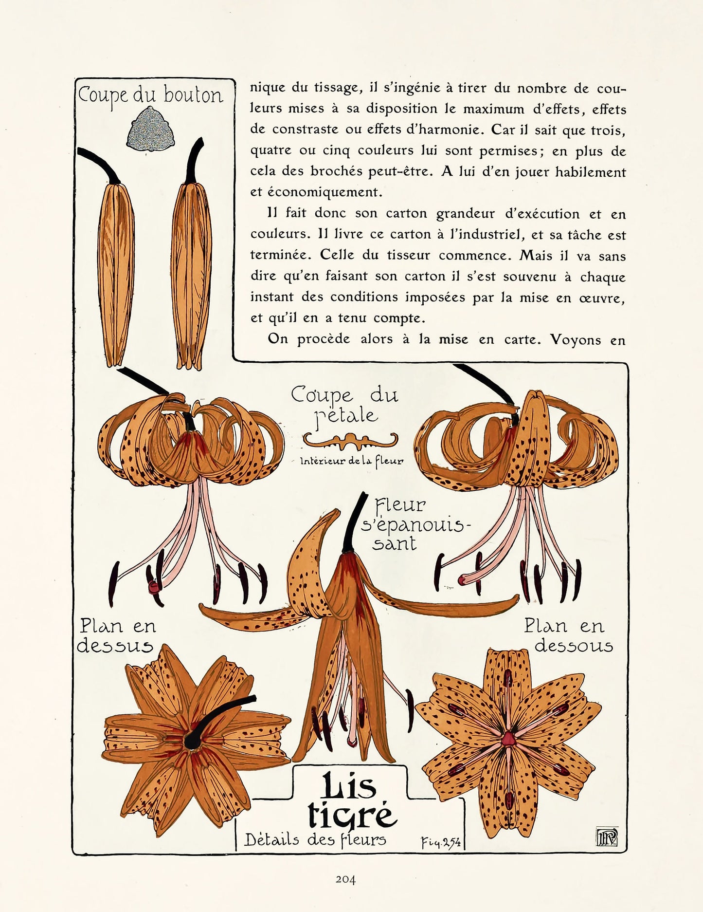 Etude Plantae Study of the Plant in Application to the Art Industries Set 3 [54 Images]