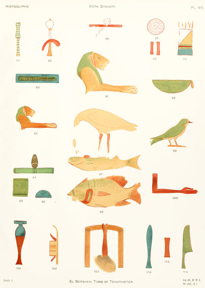 A Collection of Hieroglyphs [9 Images]