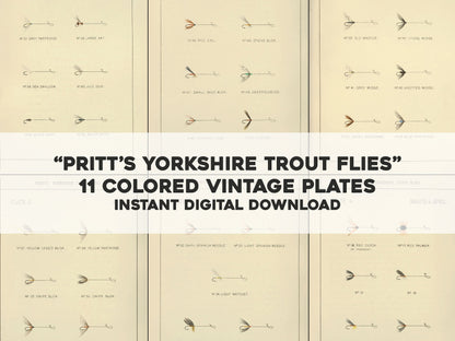 Pritt's Yorkshire Trout Flies [11 Images]