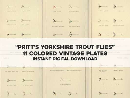 Pritt's Yorkshire Trout Flies [11 Images]