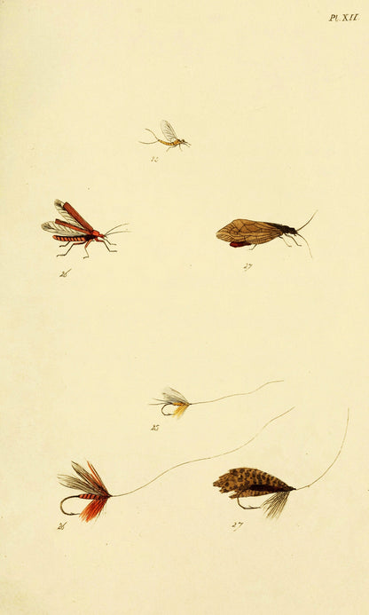 The Fly Fisher's Entomology [30 Images]