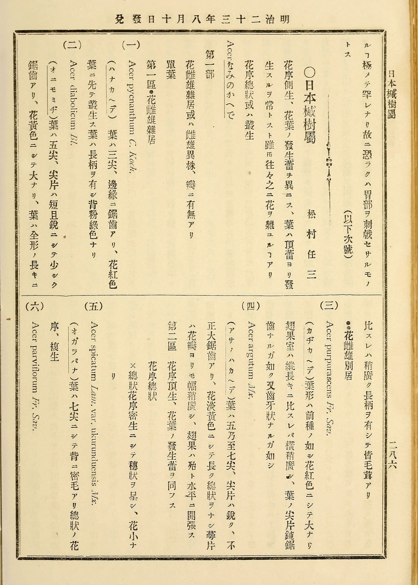Japanese Vintage Vertical Print Type Pages Set 1 [100 Images]