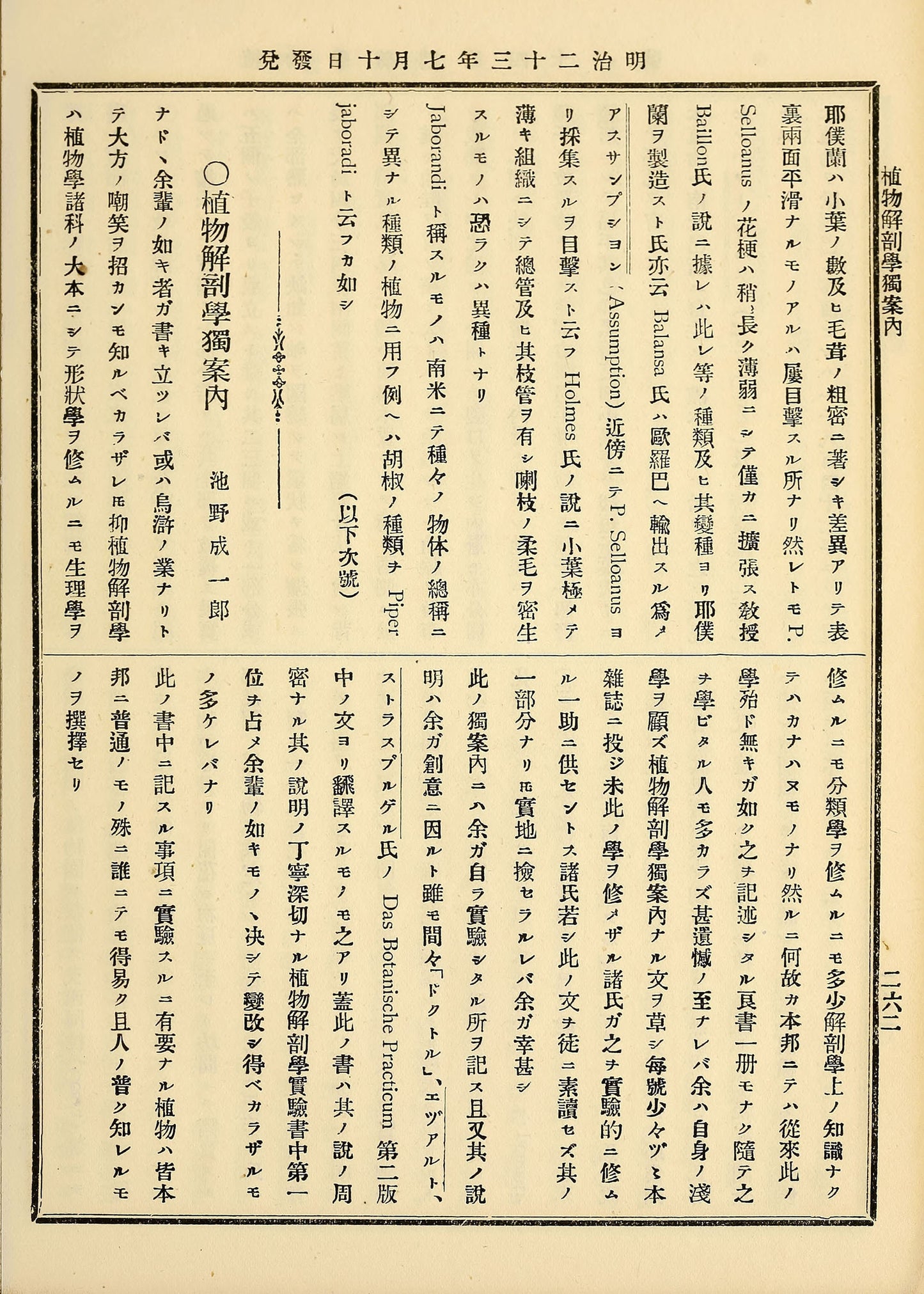 Japanese Vintage Vertical Print Type Pages Set 2 [100 Images]
