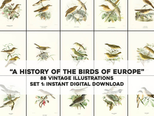 A History of the Birds of Europe Set 1 [88 Images]