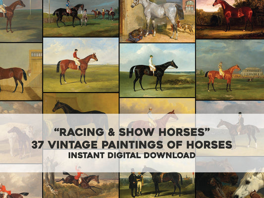 John Frederick Herring Vintage Race & Show Horses [37 Images]