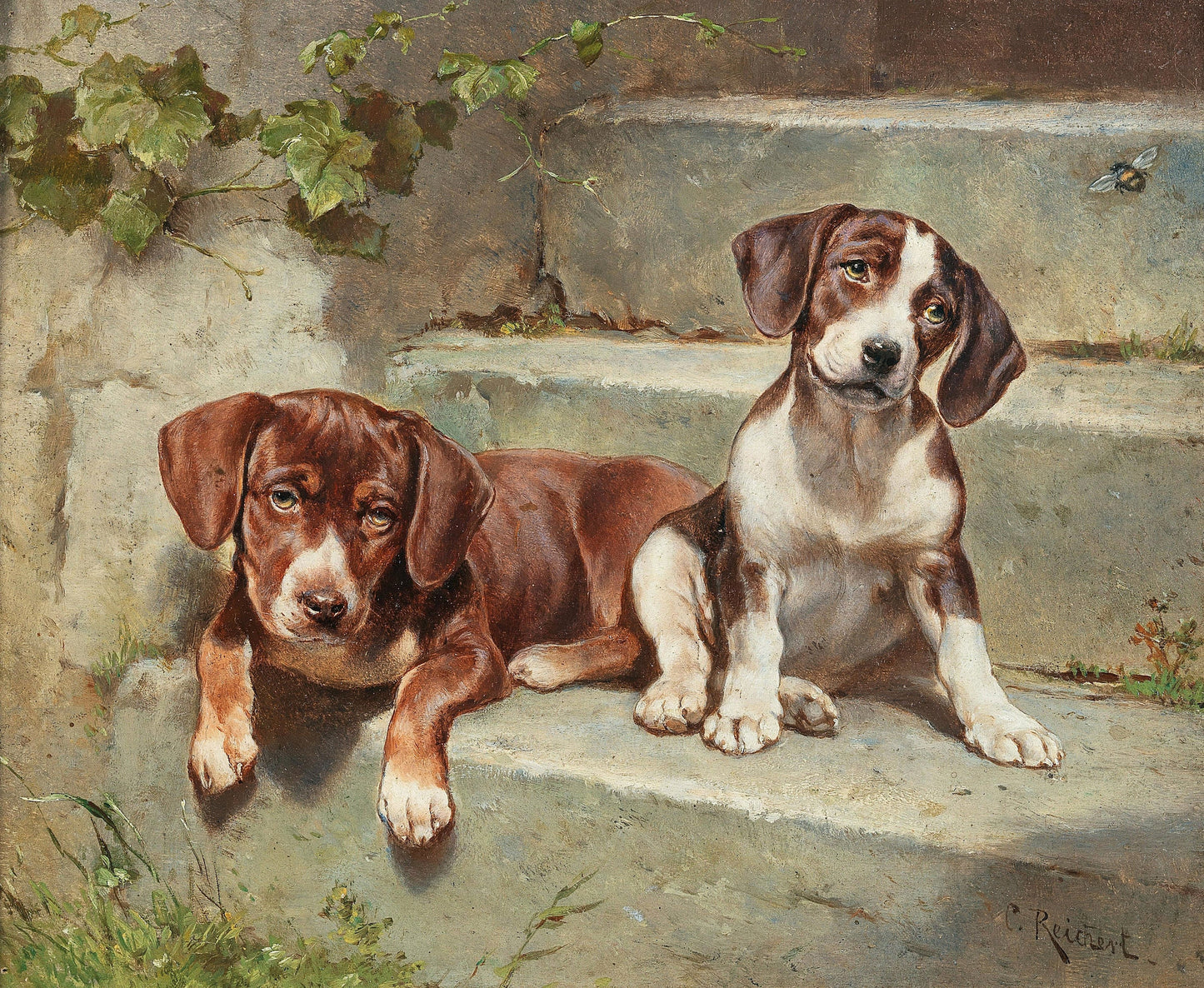 Carl Reichert Dog & Puppy Artworks Set 2 [28 Images]