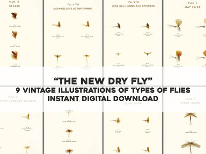 Modern Development of the Dry Fly [9 Images]