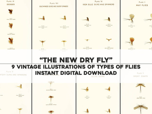 Modern Development of the Dry Fly [9 Images]