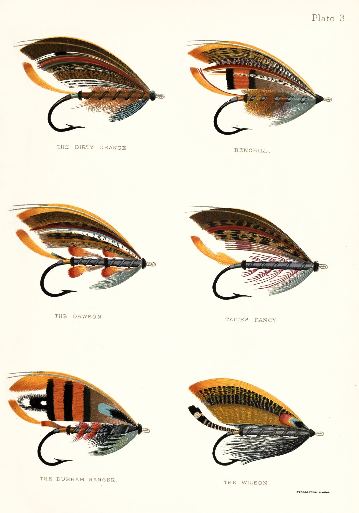 The Salmon Fly: how to dress it and how to use it [8 Images]