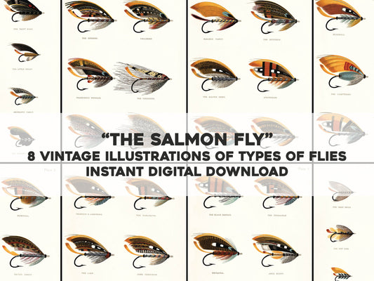 The Salmon Fly: how to dress it and how to use it [8 Images]