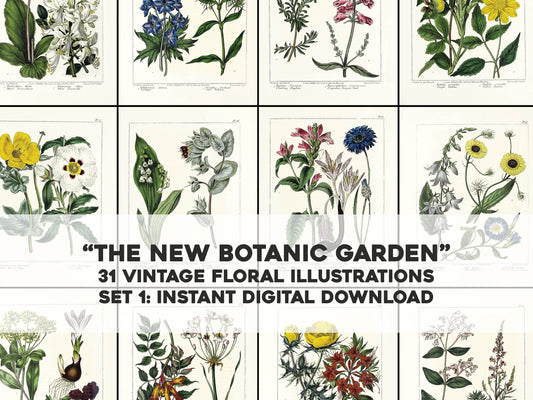 The New Botanic Garden Set 1 [31 Images]