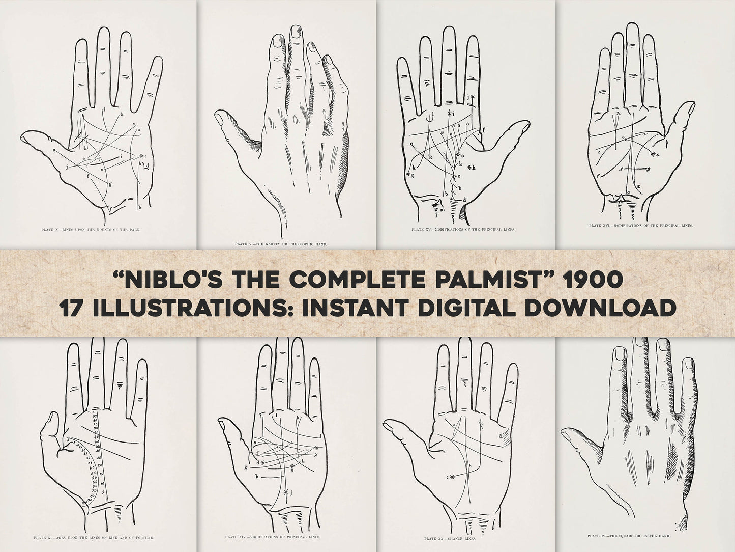 Niblo's The Complete Palmist; A Practical Guide to the Study of Cheirognomy and Cheiromancy [17 Images]