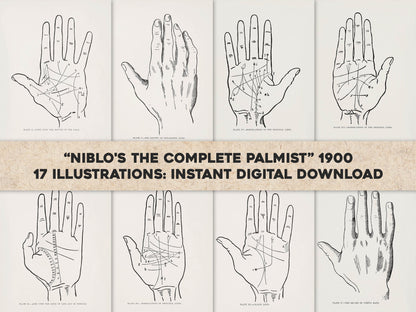 Niblo's The Complete Palmist; A Practical Guide to the Study of Cheirognomy and Cheiromancy [17 Images]