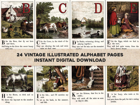 Children's Illustrated Alphabet 1 [24 Images]