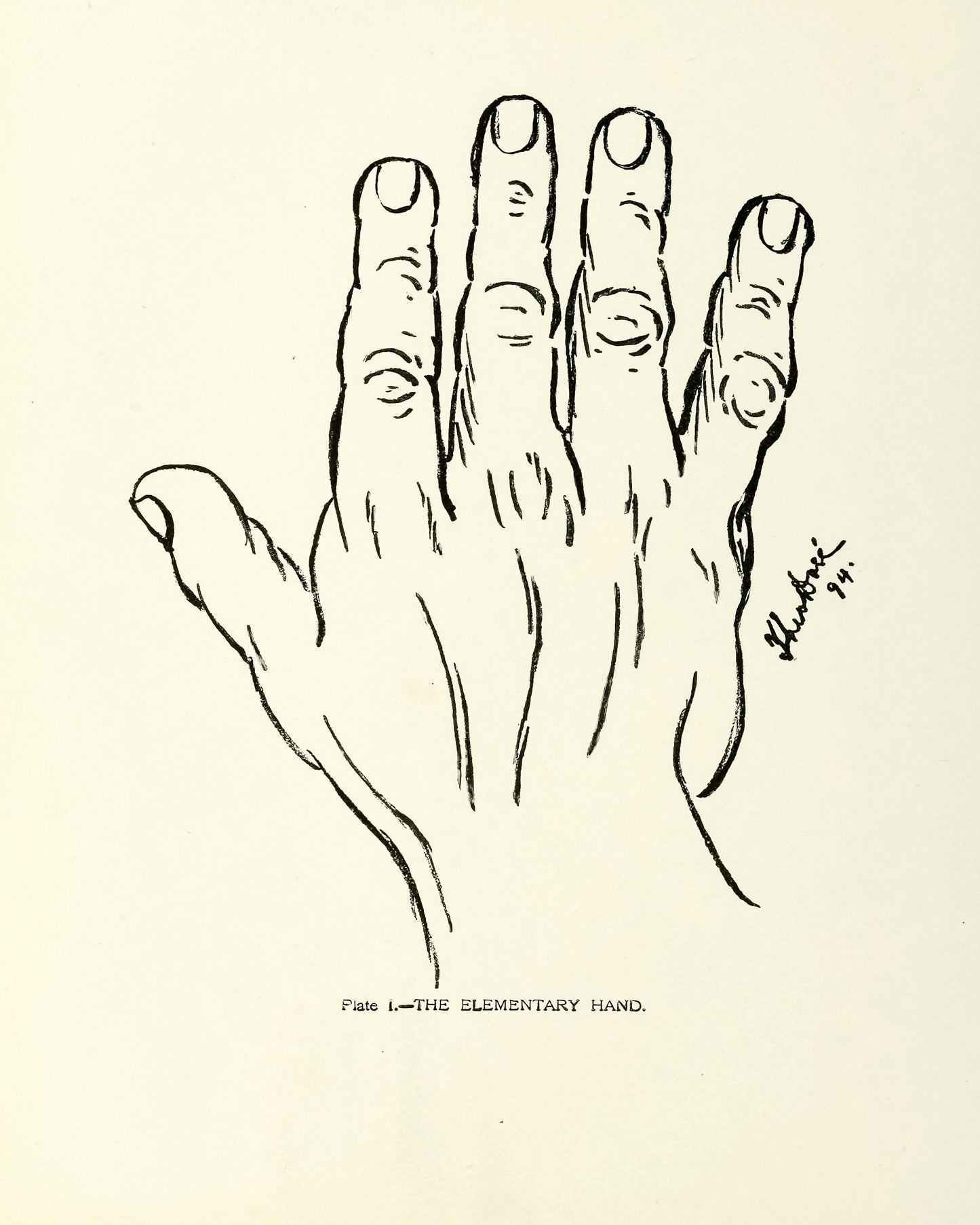 Cheiro's Language of the Hand [52 Images]