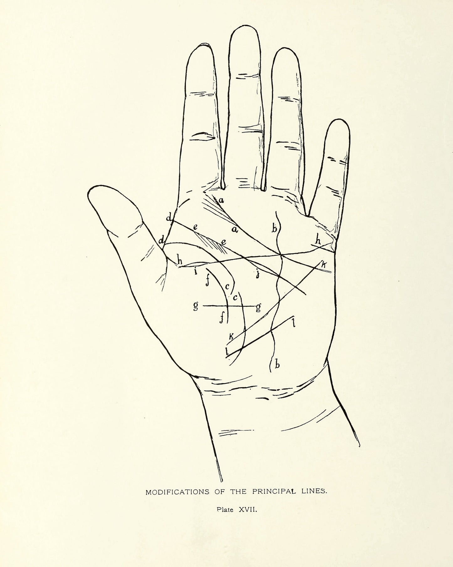Cheiro's Language of the Hand [52 Images]