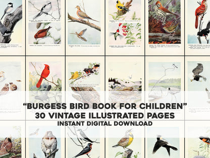 The Burgess Bird Book for Children [30 Images]