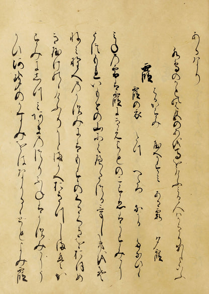 Japanese Handwritten Stained Poetry Book Pages [119 Images]